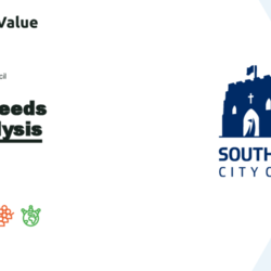 Local Needs Analysis thumbnail icon